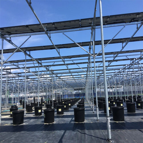 Agriculture Solar Farmland Mounting System